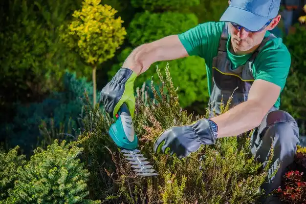 landscaping services Rock Port